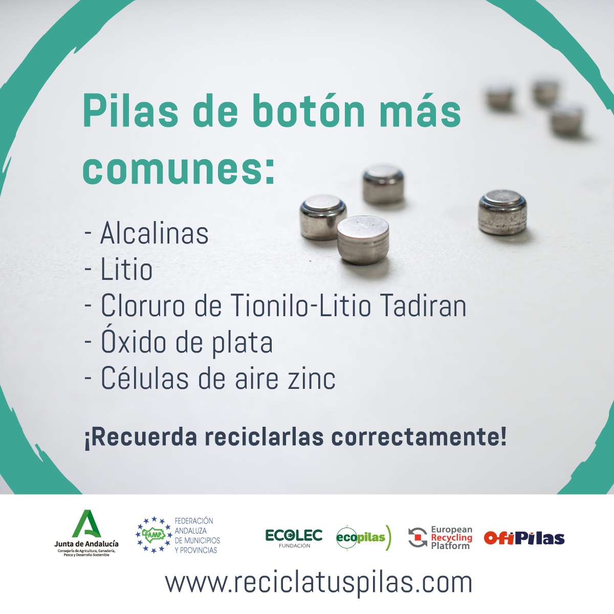 Todo lo que debes saber acerca de pilas botón - Recicla tus Pilas Andalucía