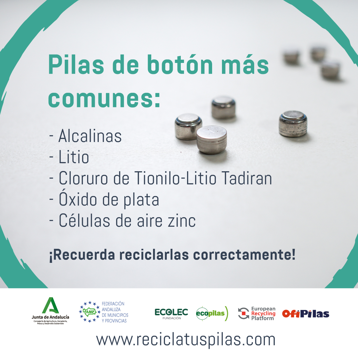 Todo lo que debes saber acerca de las pilas de botón - Recicla tus Pilas  Andalucía